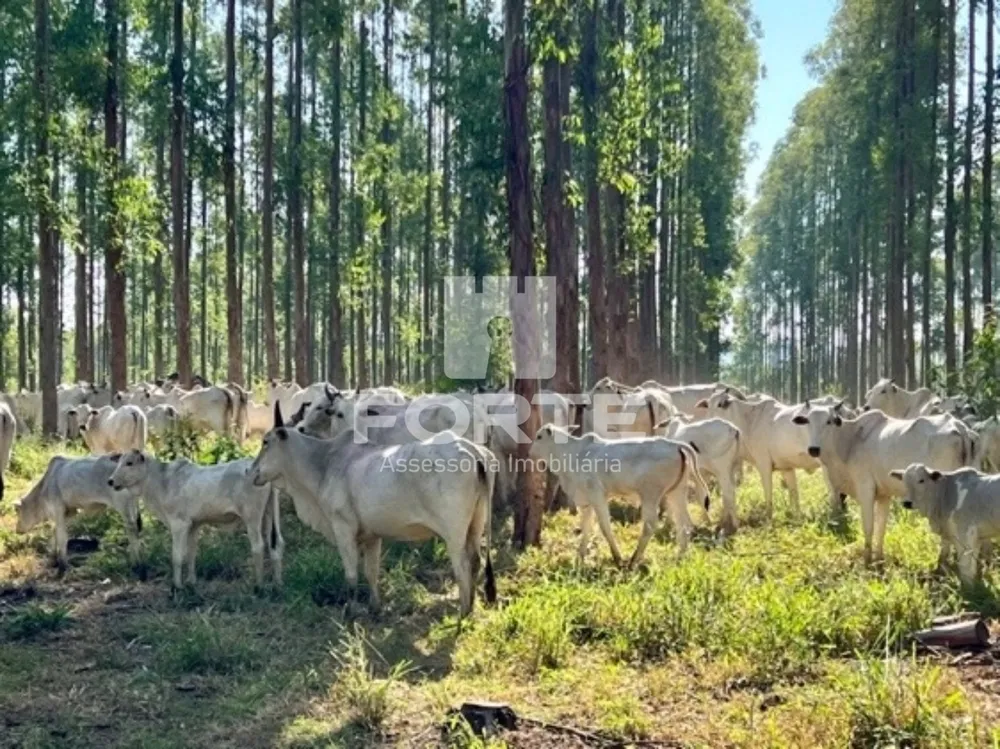 Fazenda, 1722 m² - Foto 19