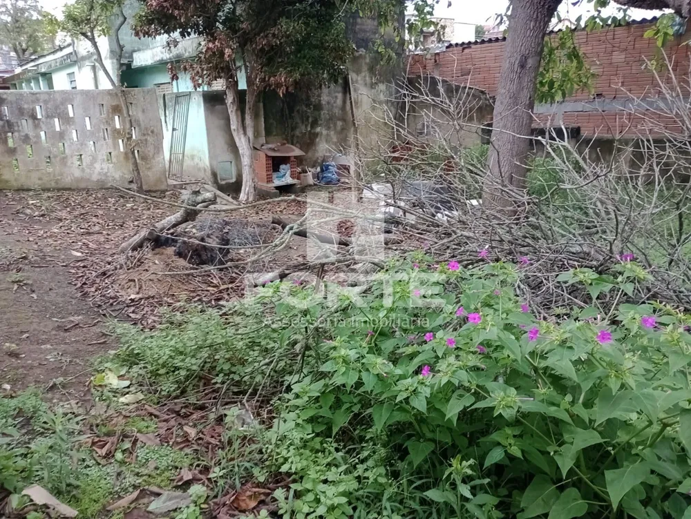 Casa, 6 quartos, 500 m² - Foto 4