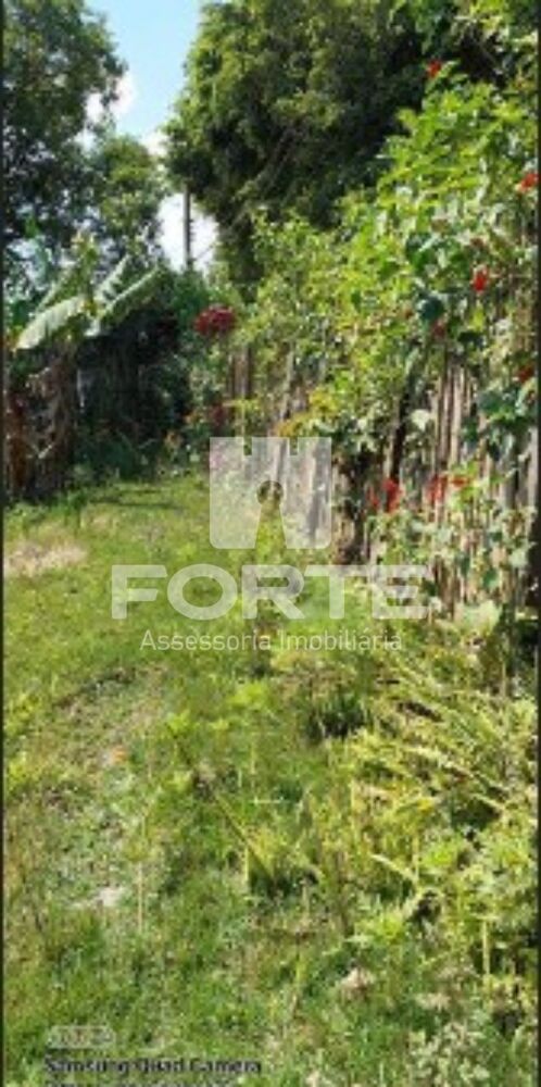 Chácara, 2 quartos - Foto 4