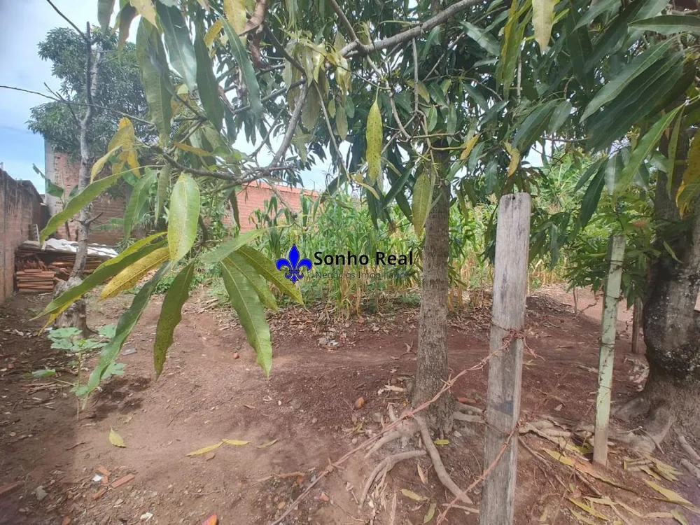 Terreno - Foto 2