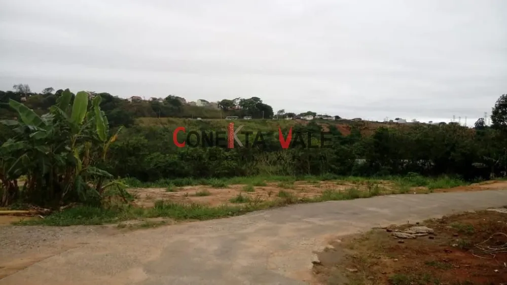 Loteamento e Condomínio, 7400 m² - Foto 9