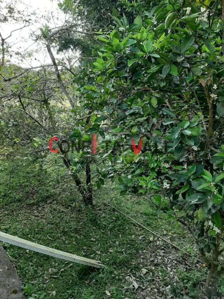 Chácara, 4 quartos, 2 hectares - Foto 11