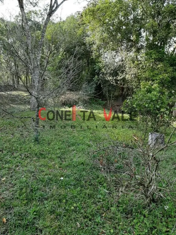 Chácara, 4 quartos, 2 hectares - Foto 5