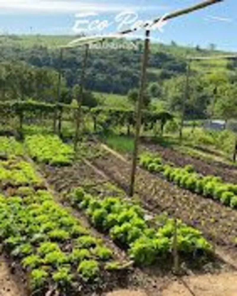 Terreno, 300 m² - Foto 7