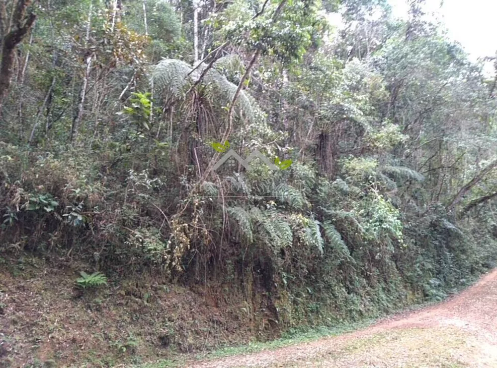 Terreno à venda, 6900m² - Foto 3