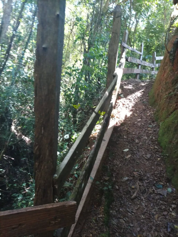 Terreno - Foto 1