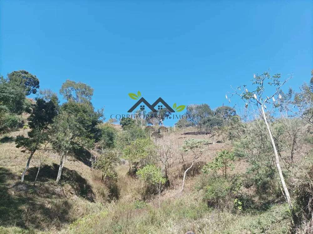 Terreno - Foto 2
