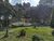 Apartamento, 6 quartos, 198 m² - Foto 4