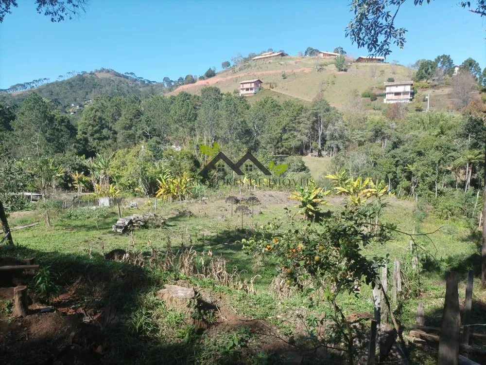Terreno, 1600 m² - Foto 3