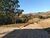 Terreno, 5 hectares - Foto 2