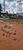 Terreno, 1000 m² - Foto 11