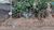 Terreno, 385 m² - Foto 2