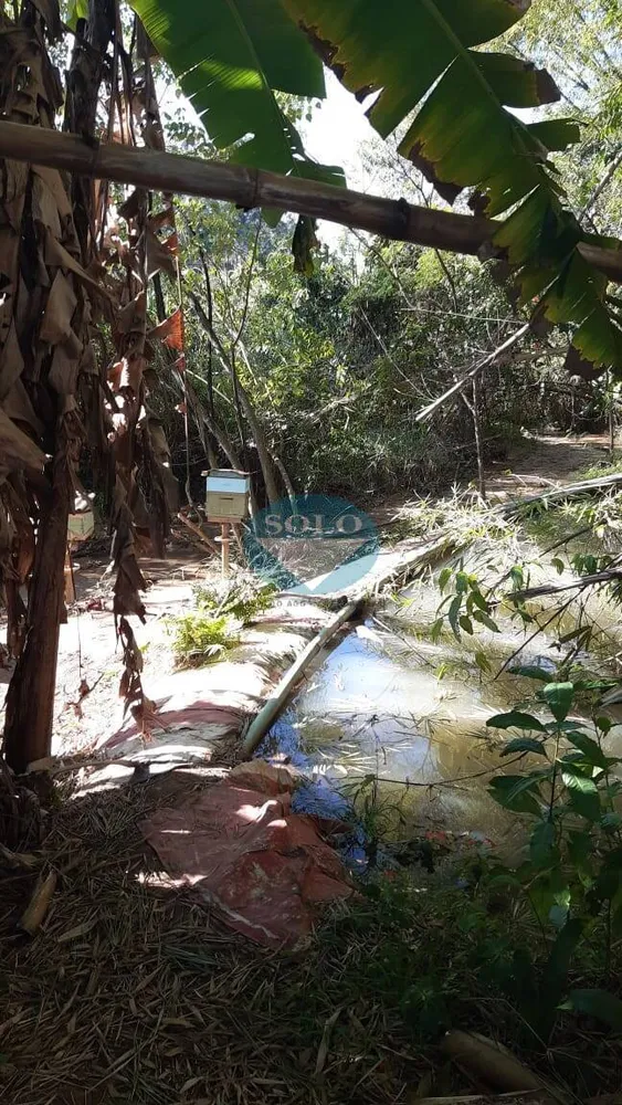 Terreno, 2 hectares - Foto 4