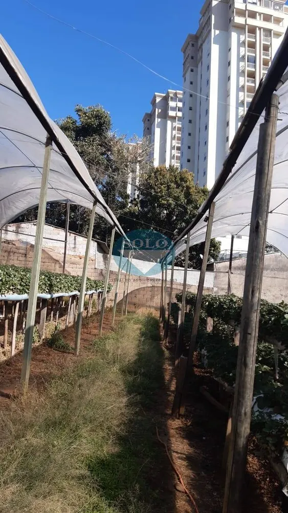 Terreno, 2 hectares - Foto 6