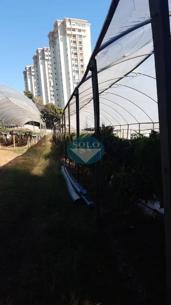 Terreno, 2 hectares - Foto 2