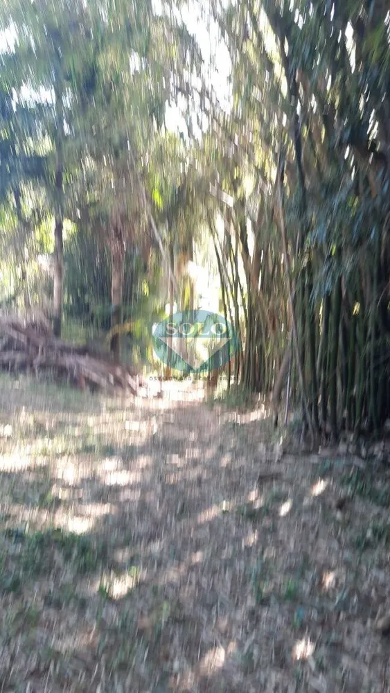 Terreno, 2 hectares - Foto 3