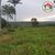 Fazenda, 1830 hectares - Foto 4