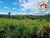 Fazenda, 1830 hectares - Foto 1