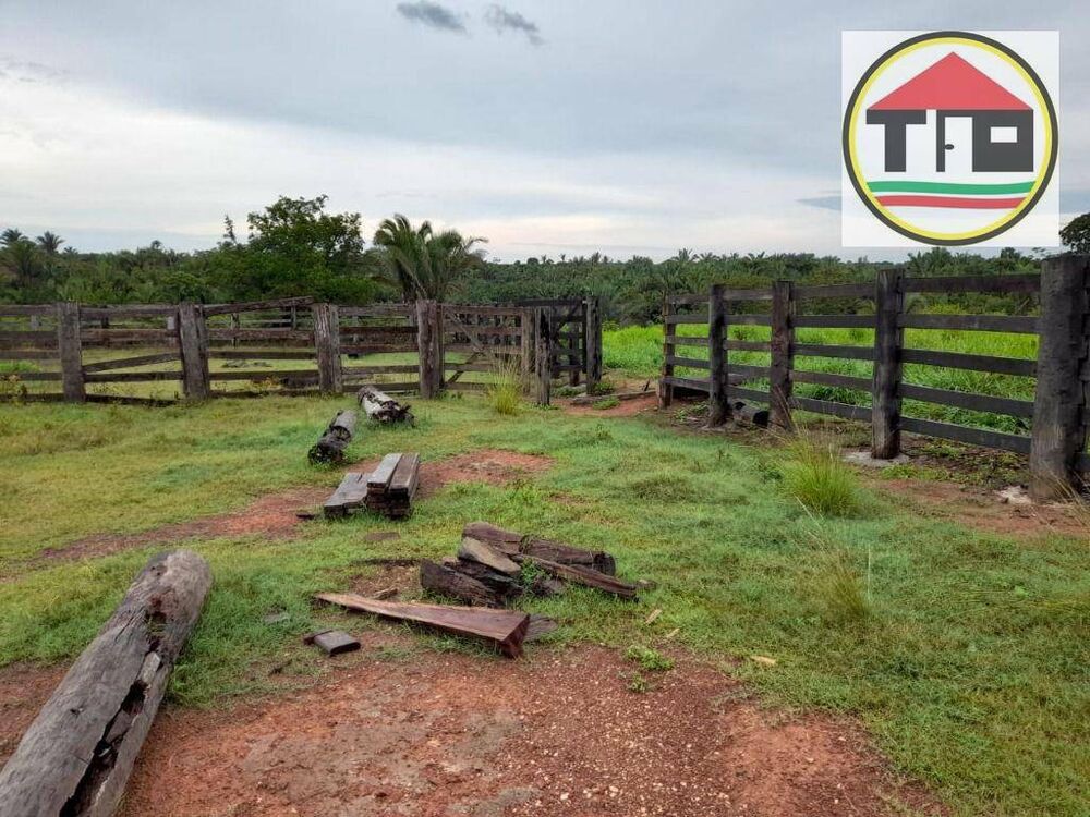 Fazenda, 3538 hectares - Foto 1