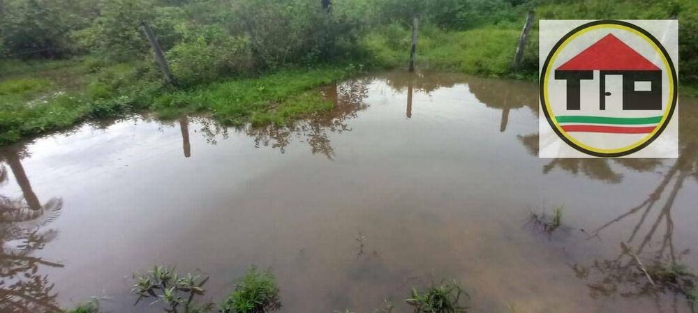 Fazenda, 3538 hectares - Foto 4