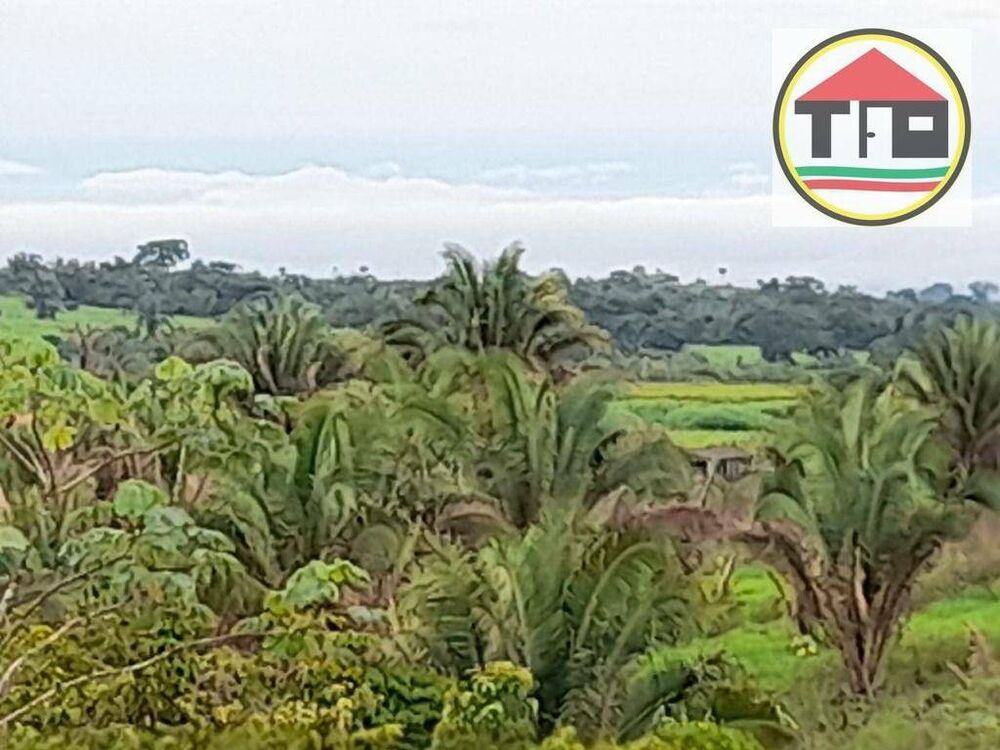 Fazenda, 3538 hectares - Foto 3