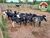 Fazenda-Sítio-Chácara, 339 hectares - Foto 2