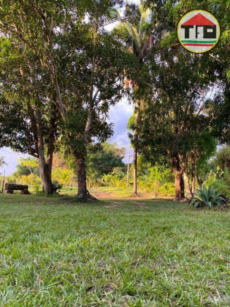 Chácara, 15 hectares - Foto 1