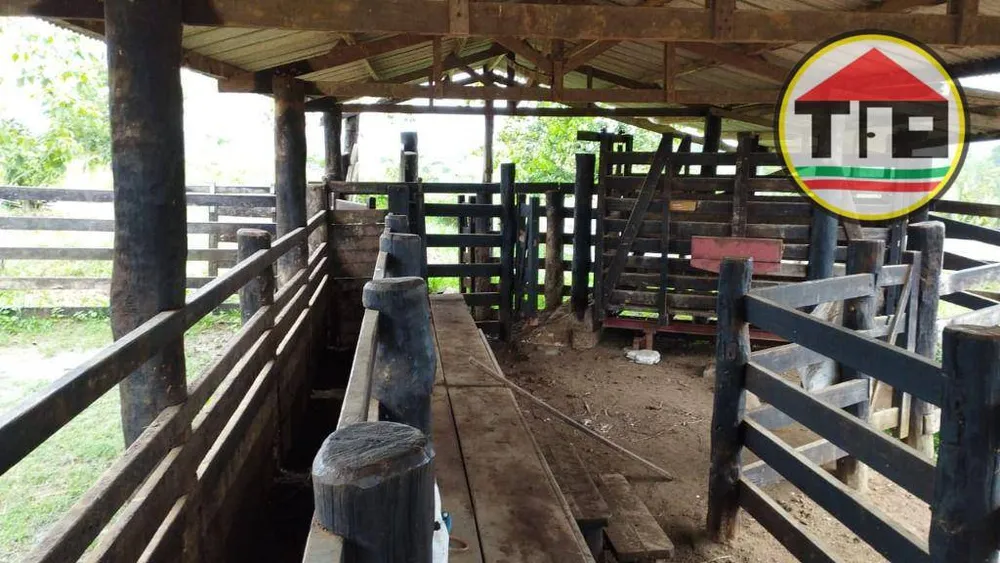 Fazenda, 484 hectares - Foto 3