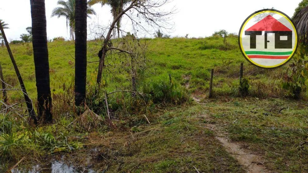 Fazenda, 484 hectares - Foto 1