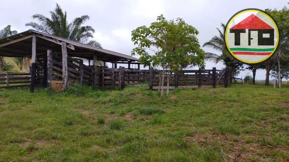Fazenda, 484 hectares - Foto 4