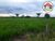 Fazenda, 402 hectares - Foto 1