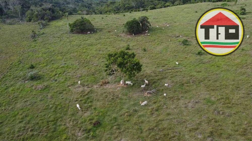 Fazenda à venda, 15342800M2 - Foto 4