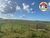 Fazenda, 1534 hectares - Foto 3