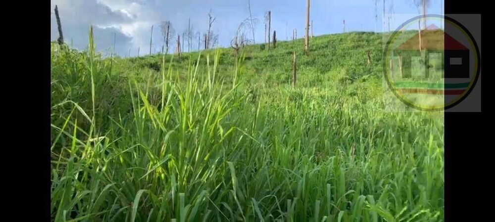 Fazenda à venda, 14036000M2 - Foto 2