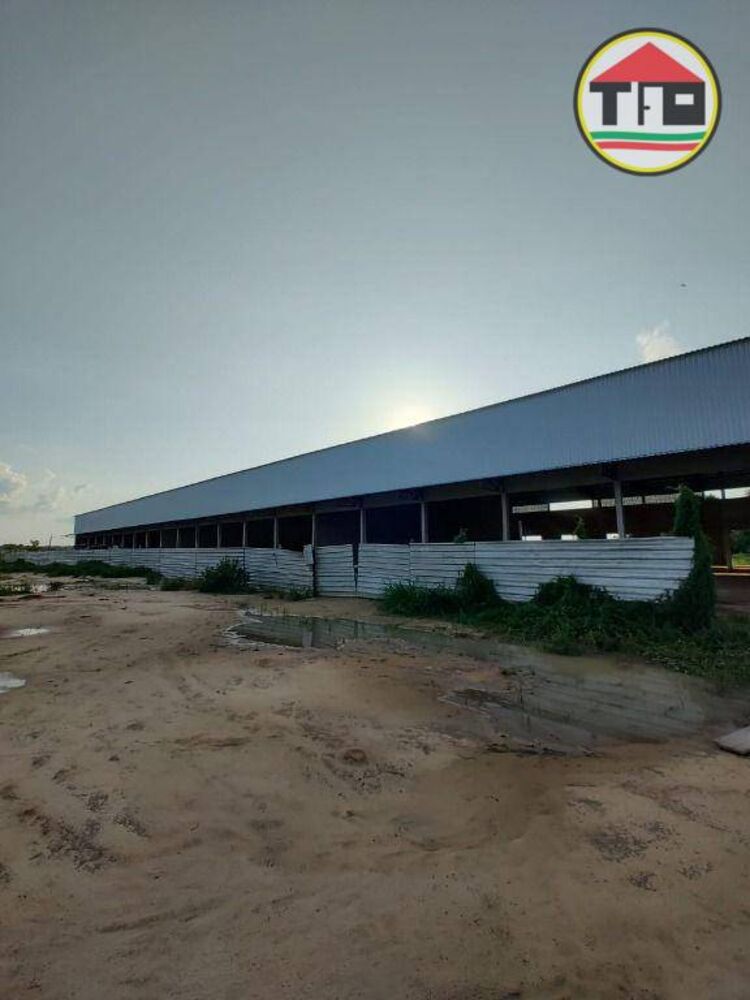 Depósito-Galpão, 720 m² - Foto 2