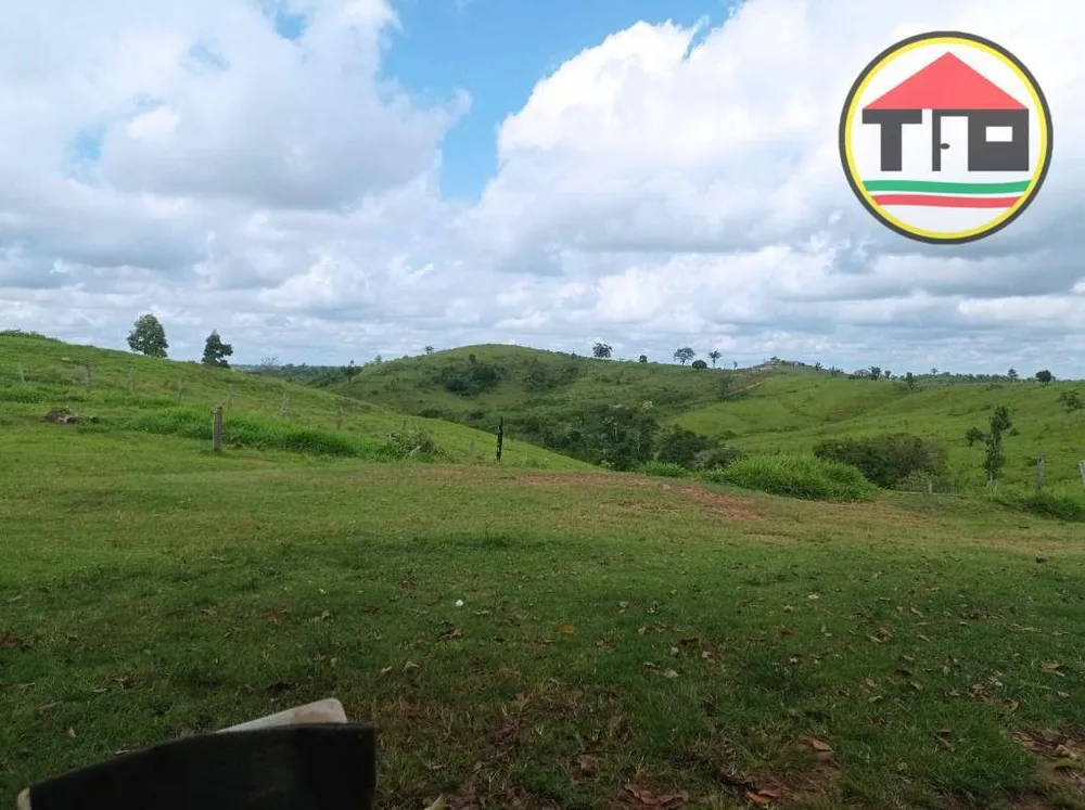 Fazenda, 1646 hectares - Foto 4