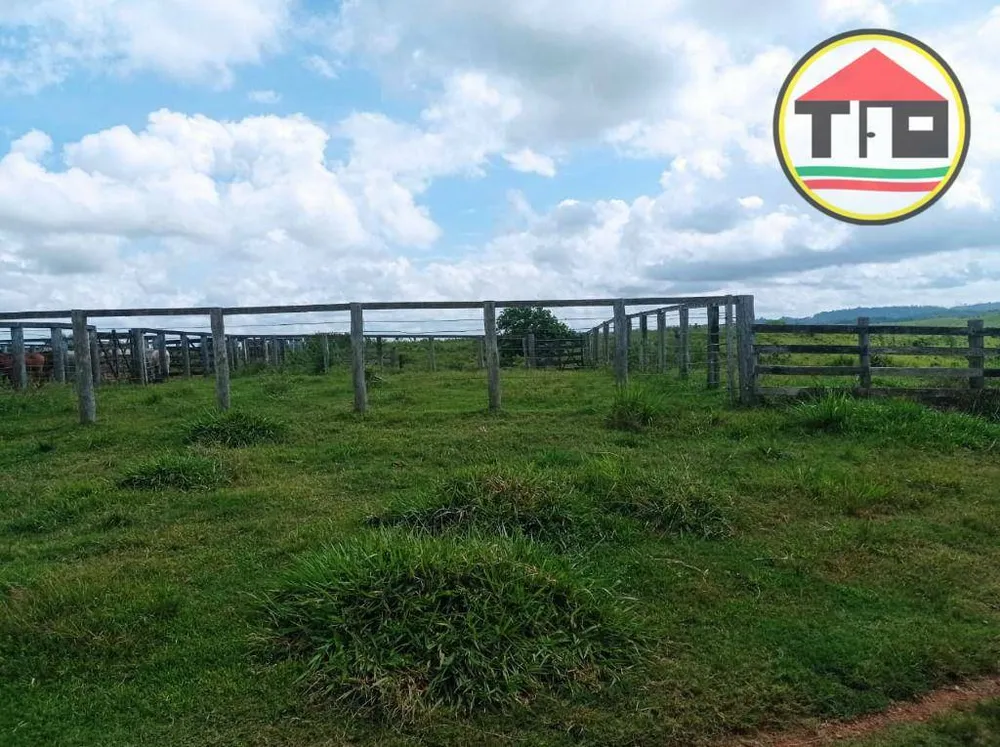 Fazenda, 1646 hectares - Foto 2