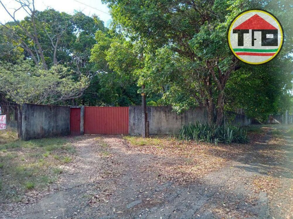 Chácara para alugar com 2 quartos, 300M2 - Foto 3