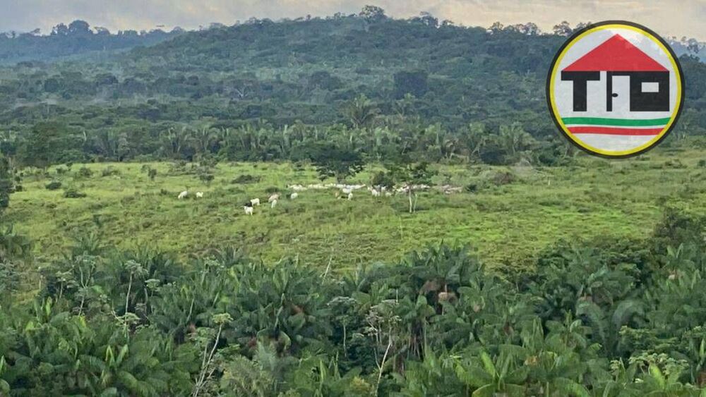 Fazenda à venda, 4114000M2 - Foto 1