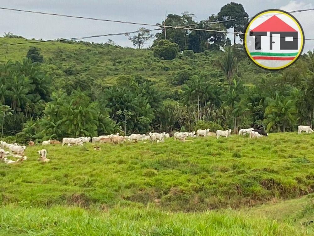 Fazenda à venda, 4114000M2 - Foto 3