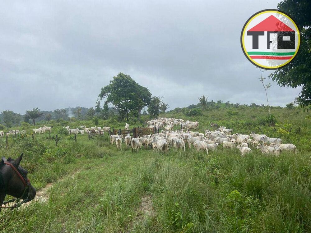 Fazenda à venda, 4114000M2 - Foto 4