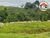 Fazenda, 411 hectares - Foto 3