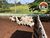 Fazenda, 8712 hectares - Foto 1