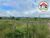 Fazenda, 920 hectares - Foto 3