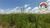 Fazenda, 290 hectares - Foto 2