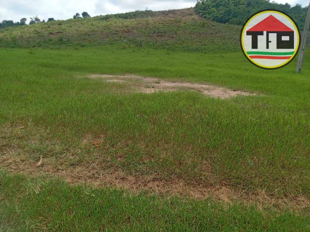 Fazenda, 407 hectares - Foto 2