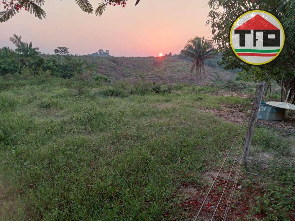 Fazenda, 407 hectares - Foto 1