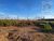 Terreno, 5000 m² - Foto 4