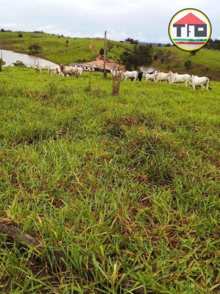 Fazenda à venda, 13310000M2 - Foto 2