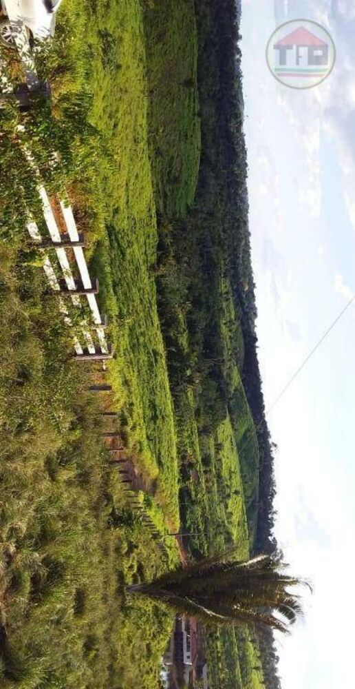 Fazenda, 1099 hectares - Foto 1